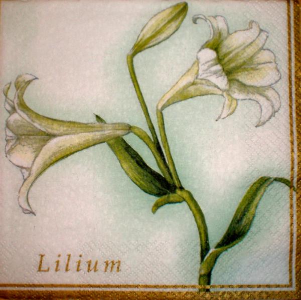 001 Lilies